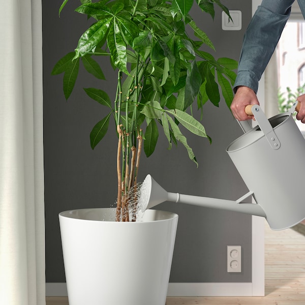 IKEA SALLADSKÅL watering can, indoor/outdoor light gray, 304 oz, Ikea Ireland | 2407MQPUO