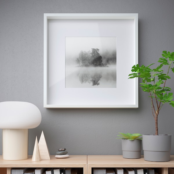 IKEA SANNAHED frame, 19 ¾x19 ¾ in White, Ikea Ireland | 3561YJNUC