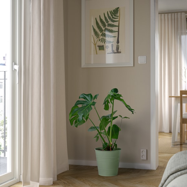 IKEA SOCKER plant pot, indoor/outdoor, 9 ½ in Light Green, Ikea Ireland | 0254MLKOP