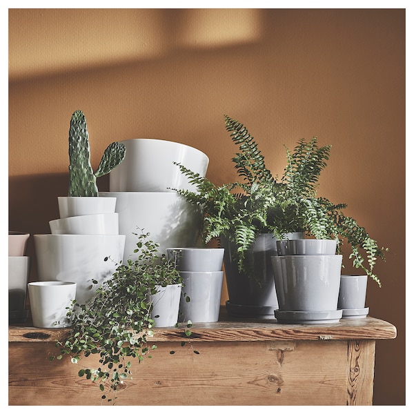 IKEA SOJABÖNA plant pot, white, 9 ½ in, Ikea Ireland | 4736QEOIR