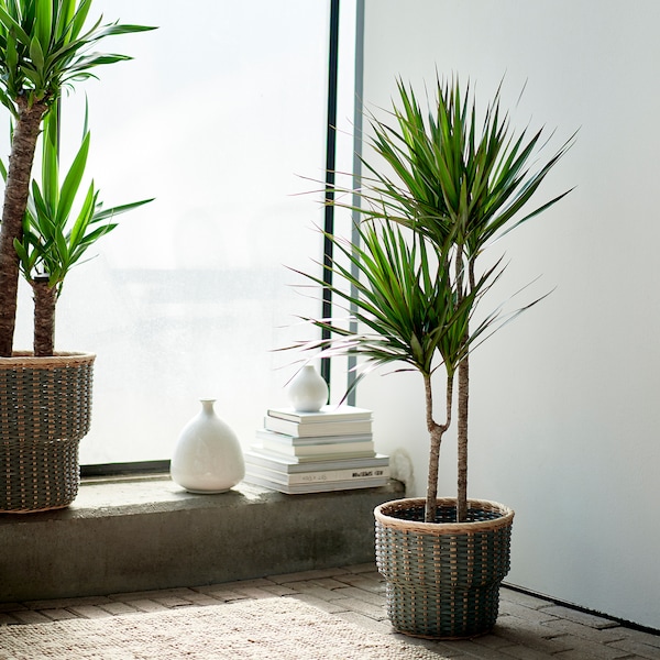 IKEA STENBÄR plant pot, gray, 9 ½ in, Ikea Ireland | 9456TGRVO