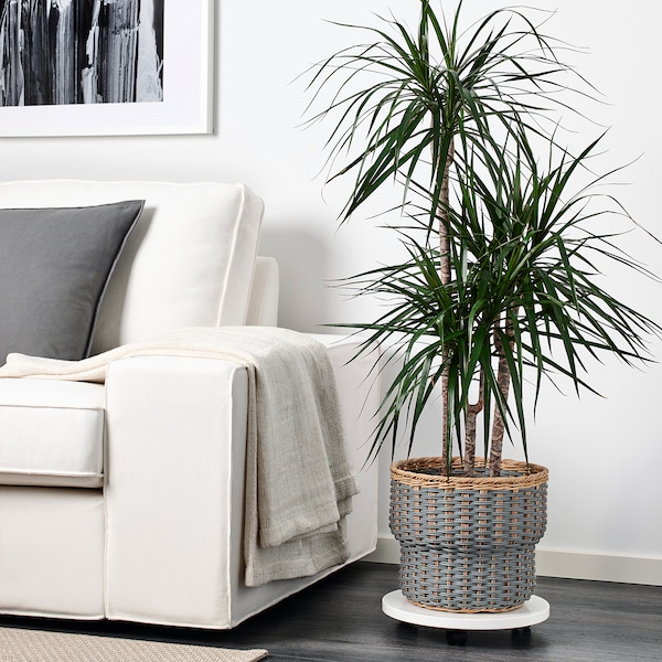 IKEA STENBÄR plant pot, gray, 9 ½ in, Ikea Ireland | 9456TGRVO