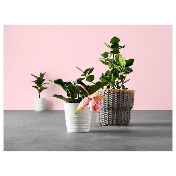 IKEA STENBÄR plant pot, gray, 9 ½ in, Ikea Ireland | 9456TGRVO
