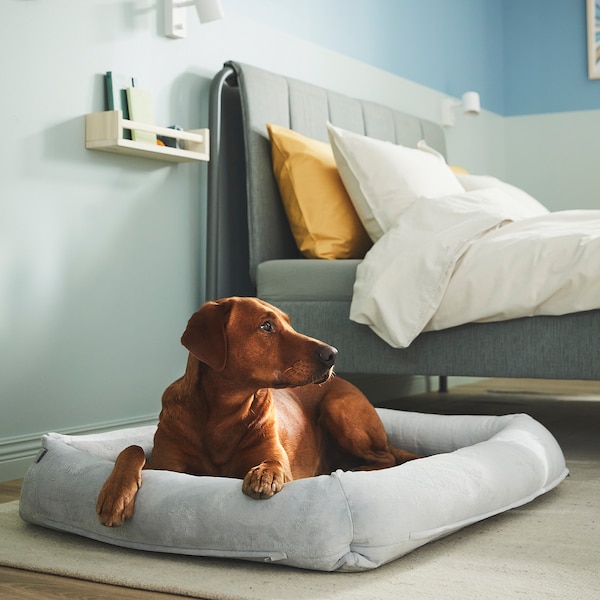 IKEA UTSÅDD dog bed, light gray, L, Ikea Ireland | 8417ANTSC