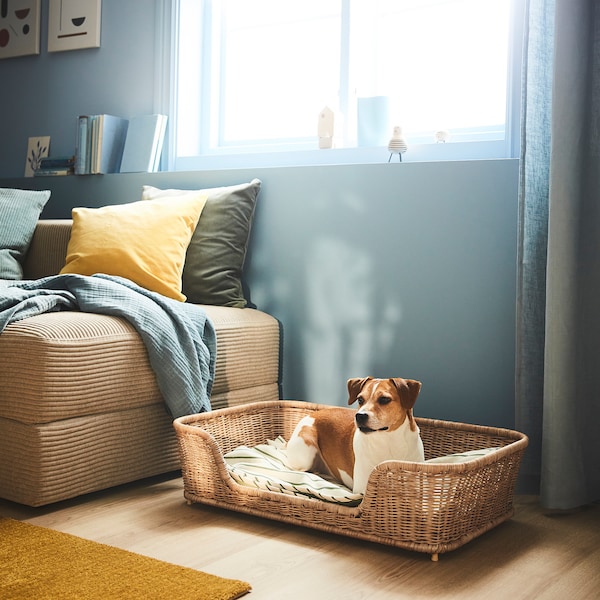 IKEA UTSÅDD dog bed, rattan, 31 ½x19 ¾x7 ¾ in, Ikea Ireland | 6812ANJSE