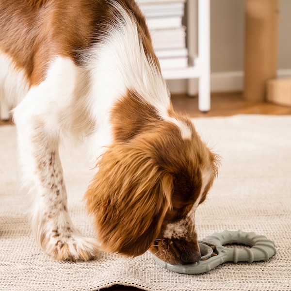 IKEA UTSÅDD dog toy, food and treat hide Gray / Green, Ikea Ireland | 4380QHILP