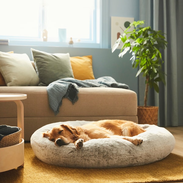 IKEA UTSÅDD pet bed, light gray, L, Ikea Ireland | 0365VTNSE