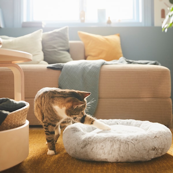 IKEA UTSÅDD pet bed, light gray, S, Ikea Ireland | 4627JUGBO