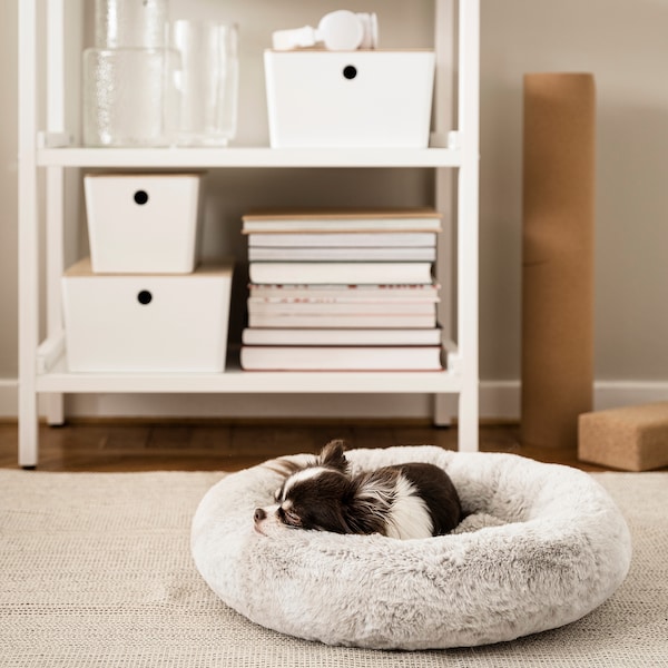 IKEA UTSÅDD pet bed, light gray, S, Ikea Ireland | 4627JUGBO