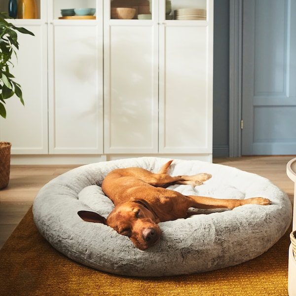 IKEA UTSÅDD pet bed, light gray, XL, Ikea Ireland | 3612IJEFV