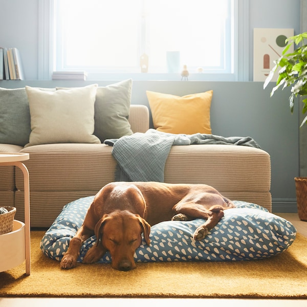 IKEA UTSÅDD pet cushion, 34 ¾x44 in Blue, Ikea Ireland | 5412DBMFT