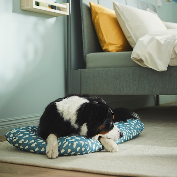 IKEA UTSÅDD pet cushion, blue, 19x29 ½ in, Ikea Ireland | 7980SOXNQ