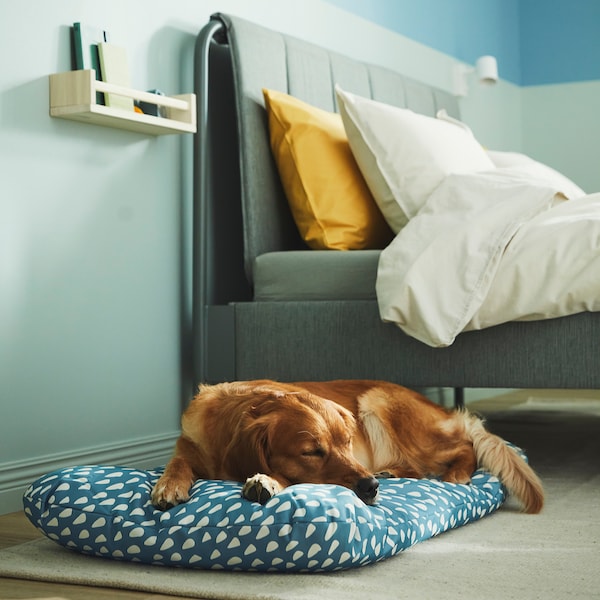 IKEA UTSÅDD pet cushion, blue, 25 ¼x40 ¼ in, Ikea Ireland | 0395UDIMF