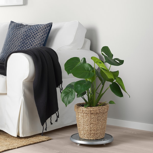 IKEA VALLMOFRÖN plant pot, seagrass, 7 ½ in, Ikea Ireland | 4183RCFXS