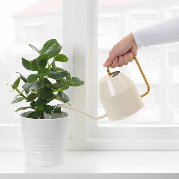 IKEA VATTENKRASSE watering can, ivory/gold, 30 oz, Ikea Ireland | 3279SDZBK