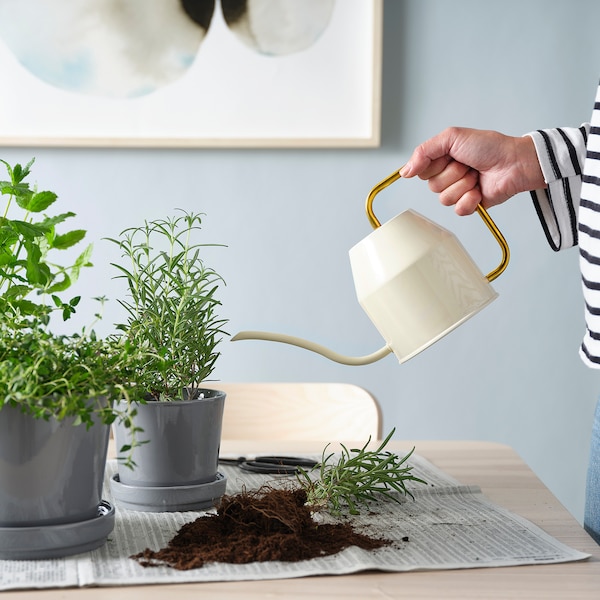 IKEA VATTENKRASSE watering can, ivory/gold, 30 oz, Ikea Ireland | 3279SDZBK