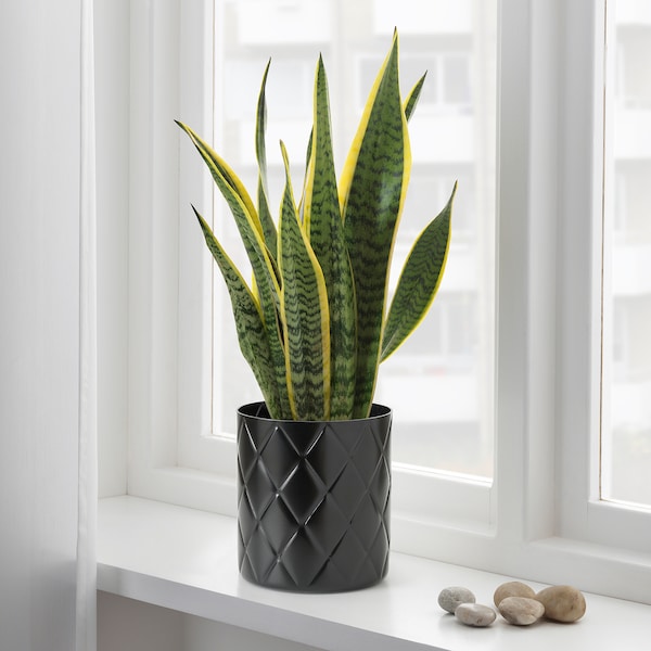IKEA VINDFLÄKT vase, 5 in Black, Ikea Ireland | 2370YTIZO