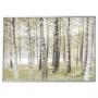 Birches / Aluminum Color