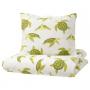 Turtle Pattern Green / White