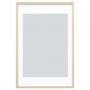 Birch Effect